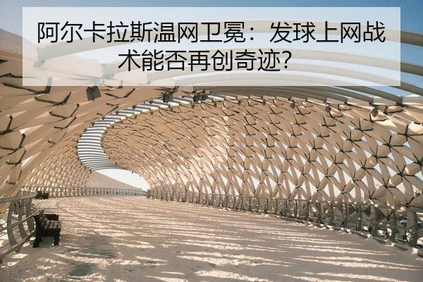 a-er-ka-la-si-wen-wang-wei-mian-fa-qiu-shang-wang-zhan-shu-neng-fou-zai-chuang-qi-ji-2-401.jpg