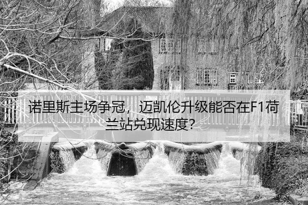 nuo-li-si-zhu-chang-zheng-guan-mai-kai-lun-sheng-ji-neng-fou-zai-he-lan-zhan-dui-xian-su-du-3-222.jpg