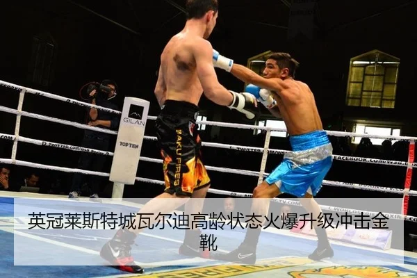 ying-guan-lai-si-te-cheng-wa-er-di-gao-ling-zhuang-tai-huo-bao-sheng-ji-chong-ji-jin-xue-3-363.jpg